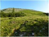 Hunting cottage Na Brežičih - Kocbekov dom na Korošici